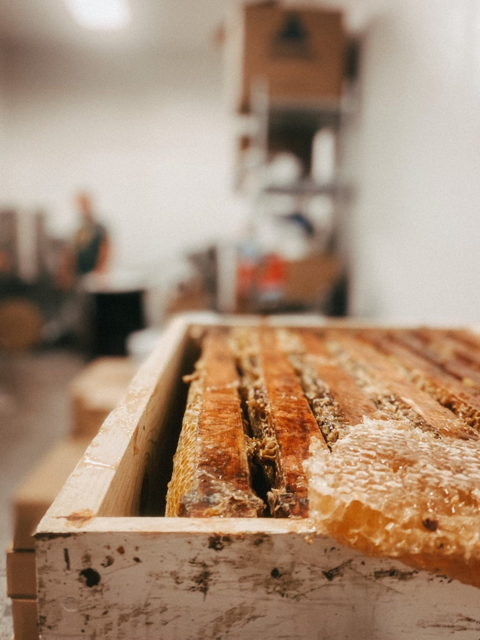 Close-up of honeycomb in a beehive frame with a blurred indoor background at our wax supplier.