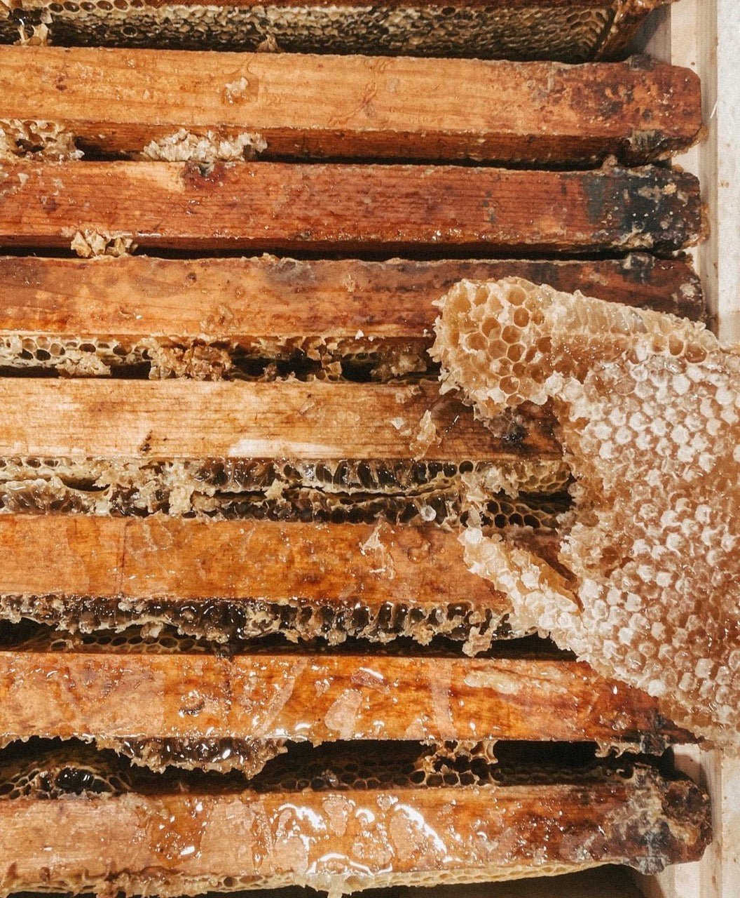 Where our beeswax comes from