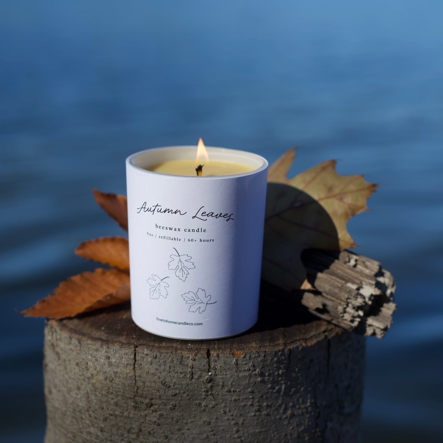 Fall Scented Beeswax Candle Collection