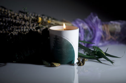 CAUSES: This Candle Plants Trees