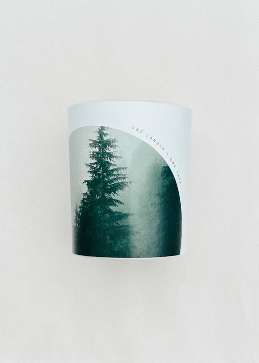 Candles for a cause, One Tree Planted, One Candle One tree aesthetic candle image